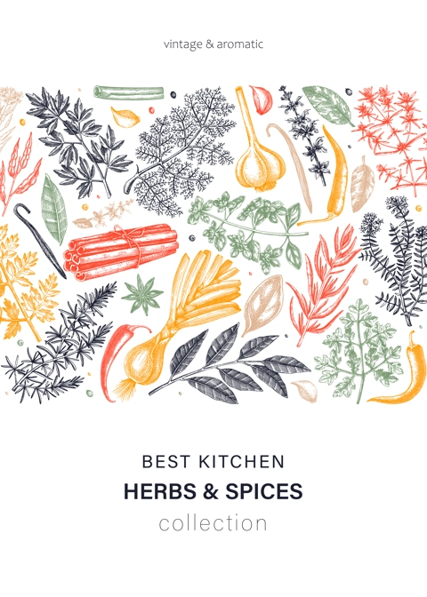 Hand-drawn herbs and spices vector card in color. Hand-sketched food illustration. Aromatic plant drawings. Kitchen herbs and spice frame template in sketched style for packaging, menu, banners